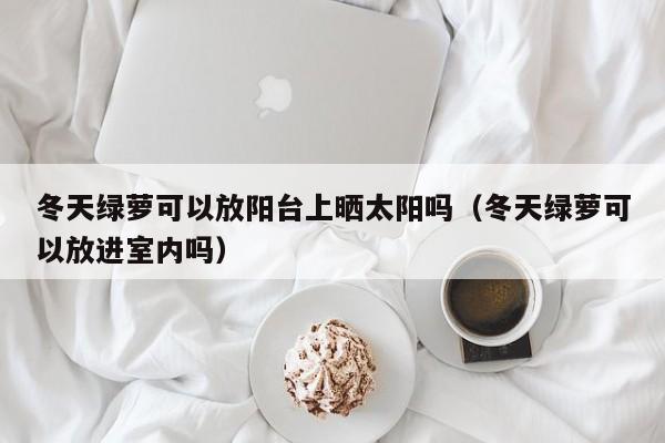 冬天绿萝可以放阳台上晒太阳吗（冬天绿萝可以放进室内吗） 