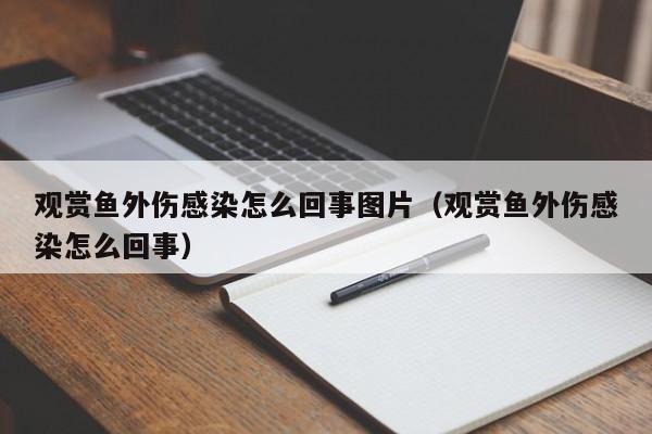 观赏鱼外伤感染怎么回事图片（观赏鱼外伤感染怎么回事） 