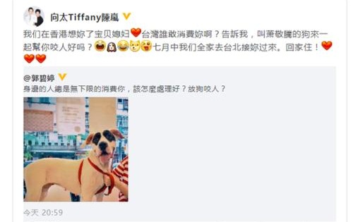 郭碧婷自曝被身边人消费向太暖心安慰(郭碧婷称大家被她骗了) 郭碧婷自曝被身边人消费向太暖心安慰(郭碧婷称大家被她骗了)