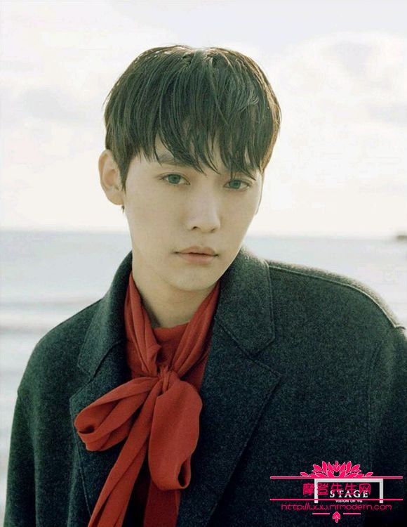 金秦禹最新吸血鬼写真照片