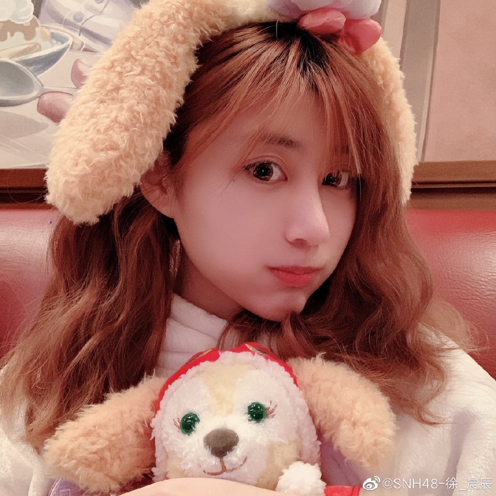 snh48徐晨辰为什么糊了不能进圈(snh48徐晨辰微博)