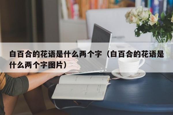 白百合的花语是什么两个字（白百合的花语是什么两个字图片） 