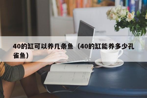 40的缸可以养几条鱼（40的缸能养多少孔雀鱼） 