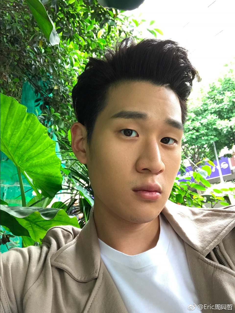 周兴哲头上的疤怎么回事