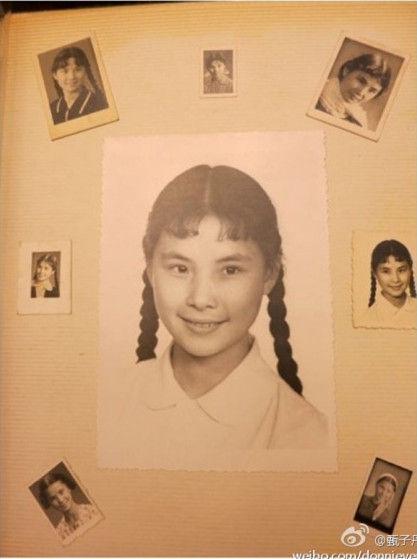 甄子丹母亲麦宝婵年轻照片(甄子丹女儿照片)
