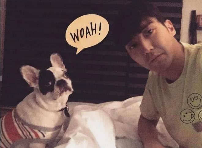 崔始源的狗是什么品种?狗为什么咬人会得败 崔始源的狗是什么品种?狗为什么咬人会得败