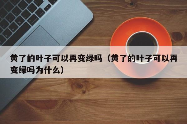 黄了的叶子可以再变绿吗（黄了的叶子可以再变绿吗为什么） 