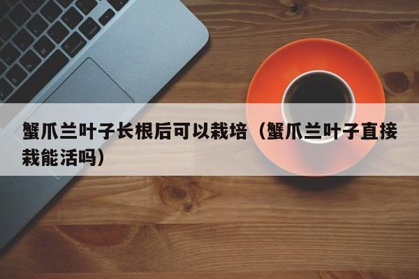 蟹爪兰叶子长根后可以栽培（蟹爪兰叶子直接栽能活吗） 