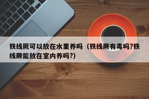 铁线厥可以放在水里养吗（铁线蕨有毒吗?铁线蕨能放在室内养吗?） 