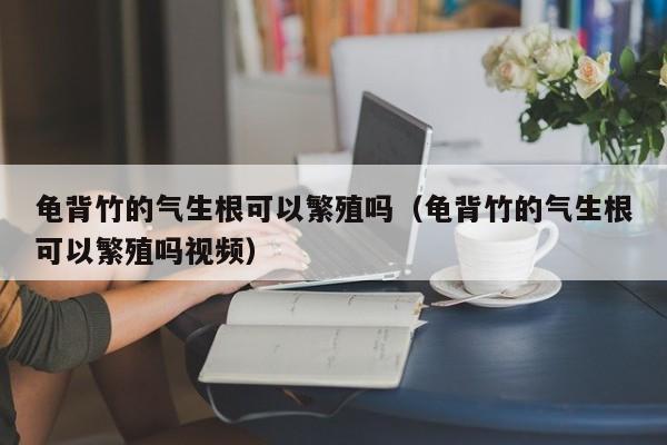 龟背竹的气生根可以繁殖吗(龟背竹的气生根可以繁殖吗视频)