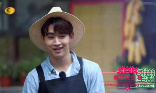 向往的生活中h是什么狗(向往的生活小狗为什么叫H)