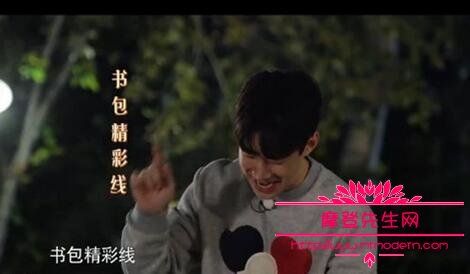 向往的生活中h是什么狗(向往的生活小狗为什么叫H)