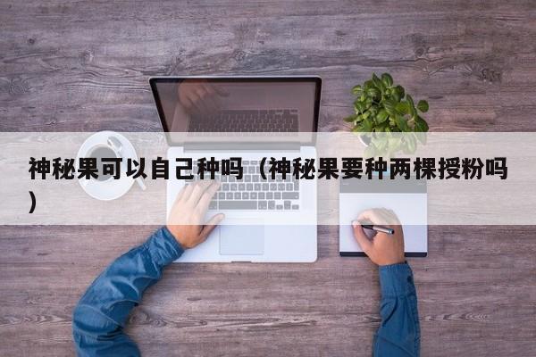 神秘果可以自己种吗（神秘果要种两棵授粉吗） 