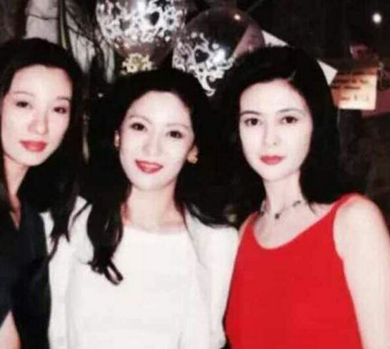 陈岚是向华强抢来的吗？陈岚家庭背景资料介(向华强和陈岚有几个孩子)