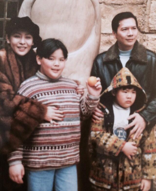 陈岚是向华强抢来的吗？陈岚家庭背景资料介(向华强和陈岚有几个孩子)