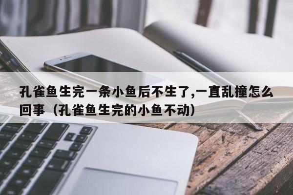 孔雀鱼生完一条小鱼后不生了,一直乱撞怎么回事（孔雀鱼生完的小鱼不动） 