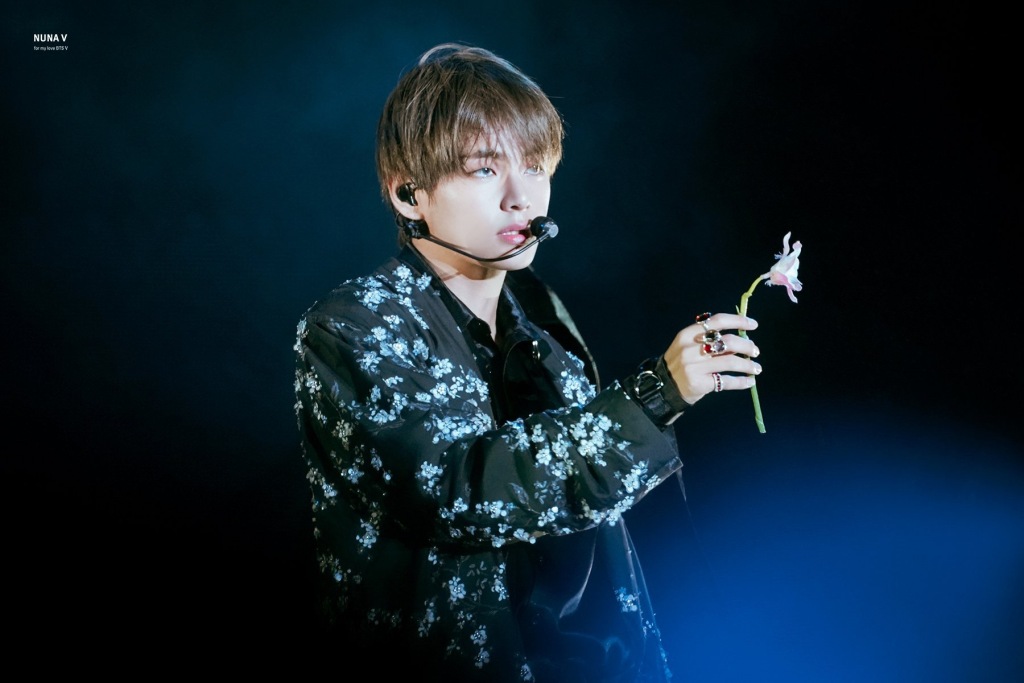 金泰亨为什么叫金薇薇？金泰亨狗狗金煤炭是