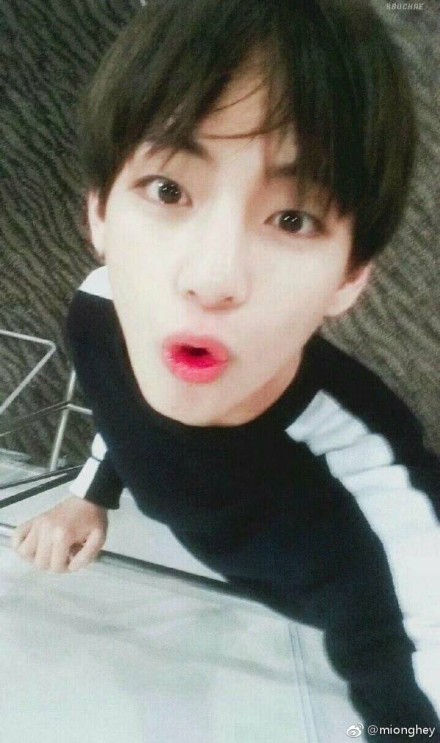 金泰亨为什么叫金薇薇?金泰亨狗狗金煤炭是 金泰亨为什么叫金薇薇?金泰亨狗狗金煤炭是