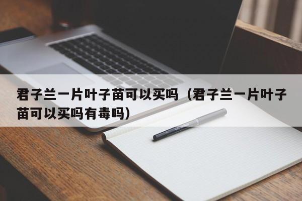 君子兰一片叶子苗可以买吗（君子兰一片叶子苗可以买吗有毒吗） 