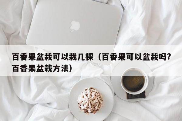 百香果盆栽可以栽几棵（百香果可以盆栽吗?百香果盆栽方法） 