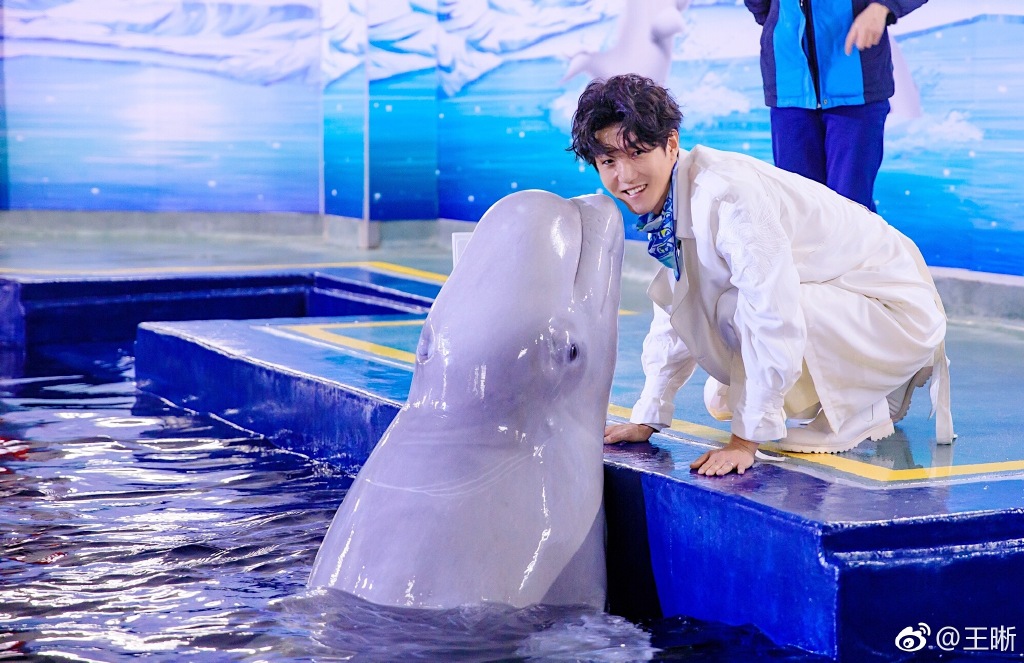 王晰为什么嫌弃阿云嘎(声入人心王晰阿云嘎抢人)