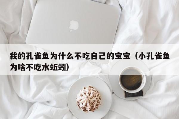 我的孔雀鱼为什么不吃自己的宝宝（小孔雀鱼为啥不吃水蚯蚓） 