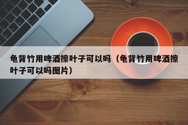 龟背竹用啤酒擦叶子可以吗（龟背竹用啤酒擦叶子可以吗图片） 