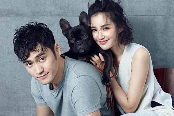 袁弘前妻梅琳琳照片 梅琳琳袁弘为什么离婚 袁弘前妻梅琳琳照片 梅琳琳袁弘为什么离婚