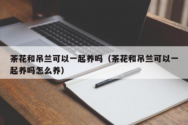 茶花和吊兰可以一起养吗（茶花和吊兰可以一起养吗怎么养） 