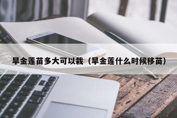 旱金莲苗多大可以栽(旱金莲什么时候移苗)