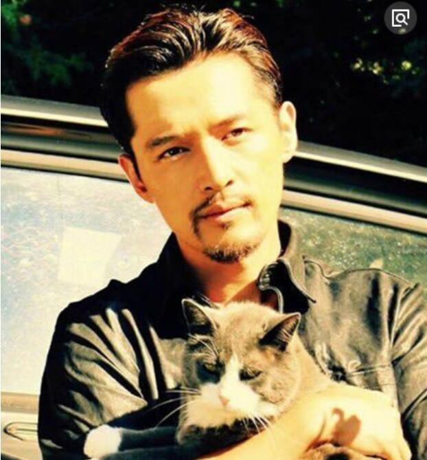 为什么十个络腮胡九个帅(为什么10个络腮9个帅) 为什么十个络腮胡九个帅(为什么10个络腮9个帅)