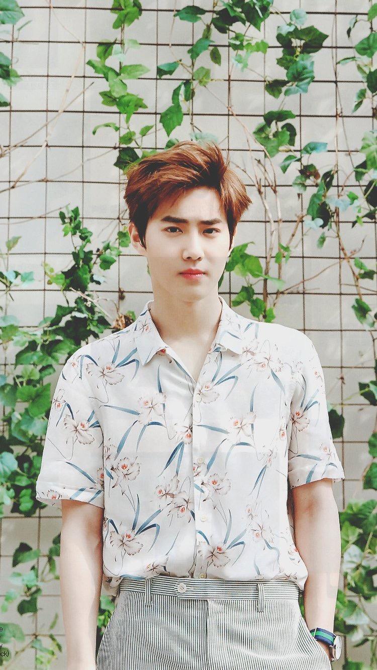 金智秀jisoo家境很有钱吗有多高(金智秀jisoo几几年出生)