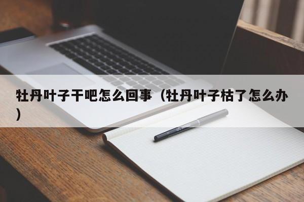 牡丹叶子干吧怎么回事（牡丹叶子枯了怎么办） 