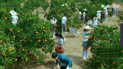 陶西身边的神秘女人的身份是什么？她能否帮(陶西朋友的女儿)