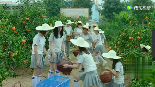 陶西身边的神秘女人的身份是什么？她能否帮(陶西朋友的女儿)