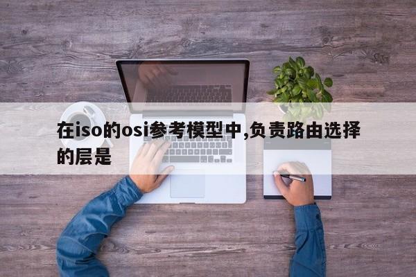 在iso的osi参考模型中,负责路由选择的层是 