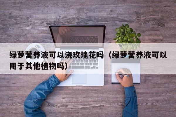 绿萝营养液可以浇玫瑰花吗（绿萝营养液可以用于其他植物吗） 