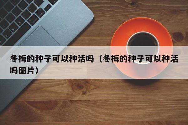 冬梅的种子可以种活吗（冬梅的种子可以种活吗图片） 