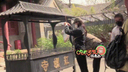 万籽麟被屈楚萧分手(屈楚萧万子麟)