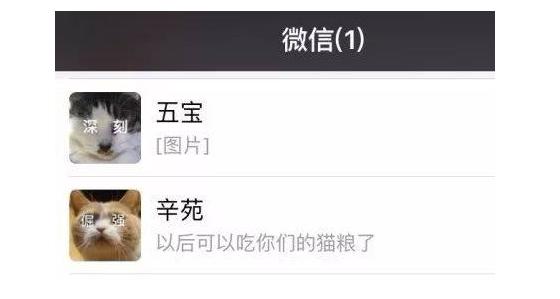 张辛苑母神称号的由来揭秘 张辛苑母神称号的由来揭秘