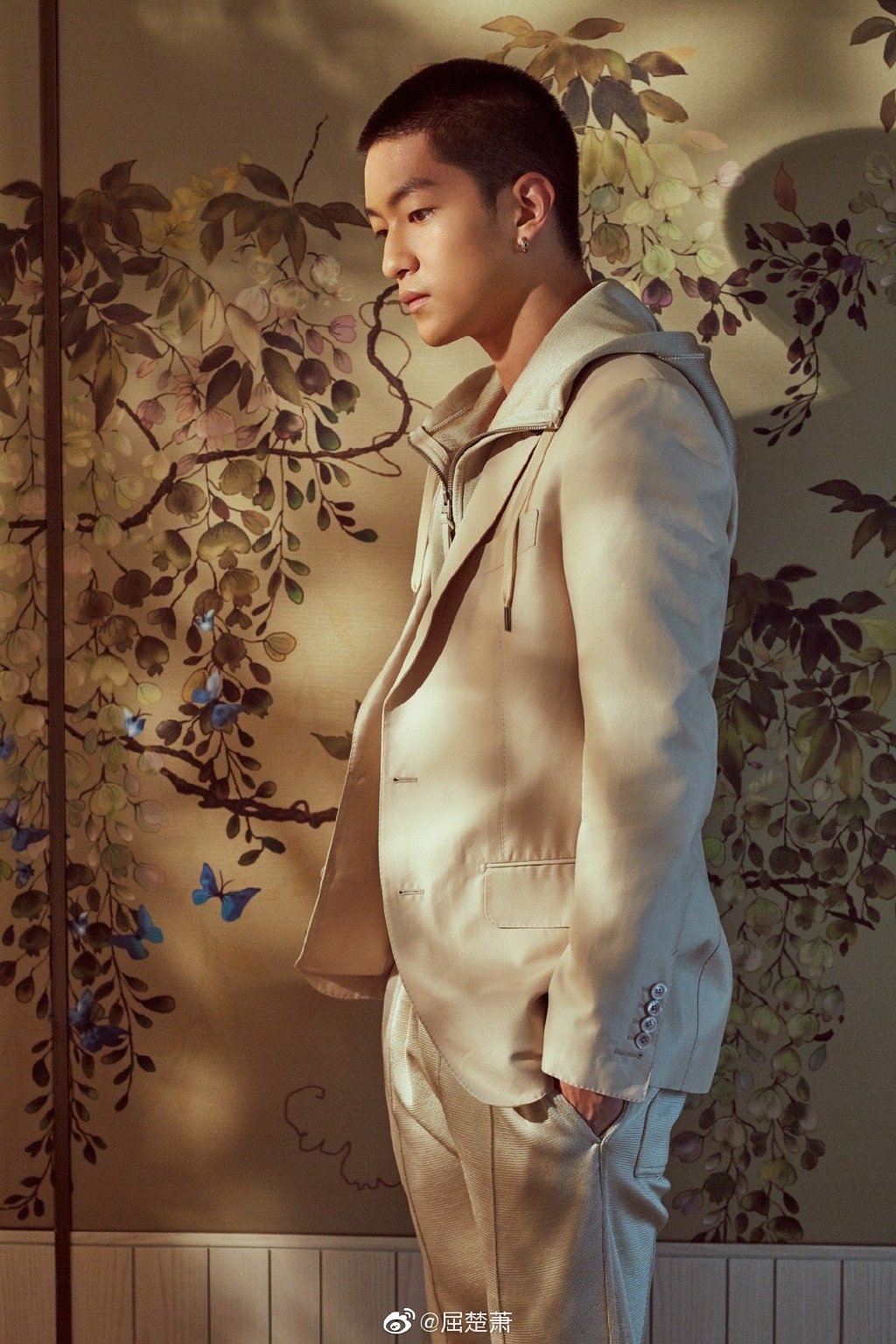 屈楚萧为什么叫户口、火不过15