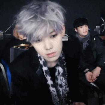 崔凖[zhǔn]烘zelo为什么叫小番茄