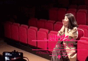 高圆圆表白赵磊视频完整版