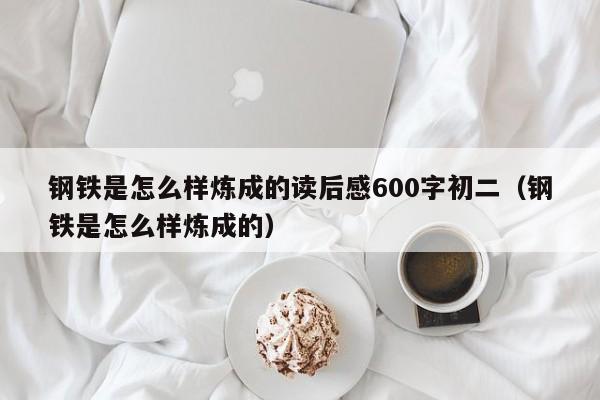 钢铁是怎么样炼成的读后感600字初二（钢铁是怎么样炼成的） 