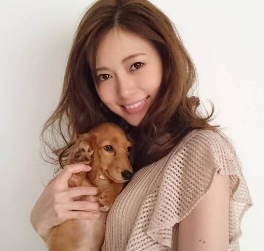 乃木坂46为什么叫颜团、紫团、少年