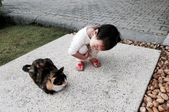 朱亚文的老婆沈佳妮素颜照片(沈佳妮和朱亚文的个人资料) 朱亚文的老婆沈佳妮素颜照片(沈佳妮和朱亚文的个人资料)