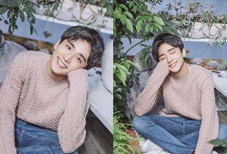 张新成为什么叫本哥、圆中心(张新成来自哪里)