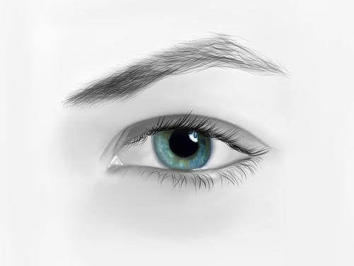 泪膜是人人都有么(泪膜和泪液)