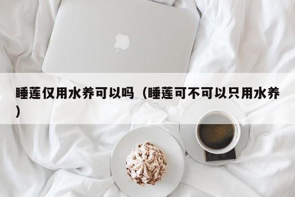 睡莲仅用水养可以吗（睡莲可不可以只用水养） 