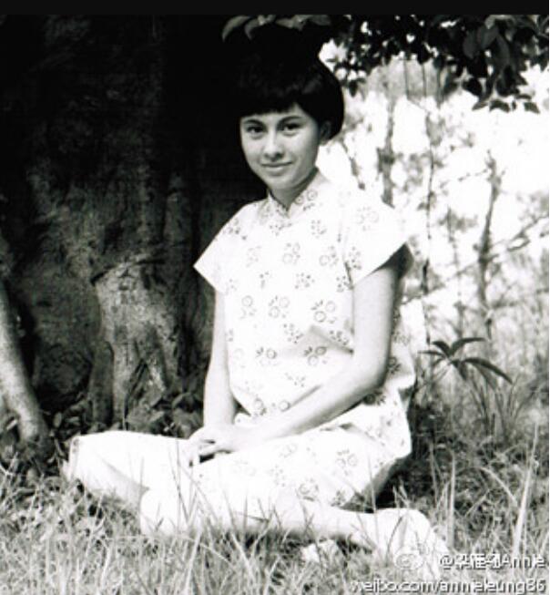 梁雁翎年轻时的照片好美(梁雁翔年轻的时候)